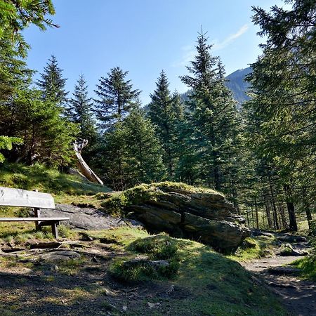 Ferienwohnung Innerhofer Hollersbach im Pinzgau Exterior foto