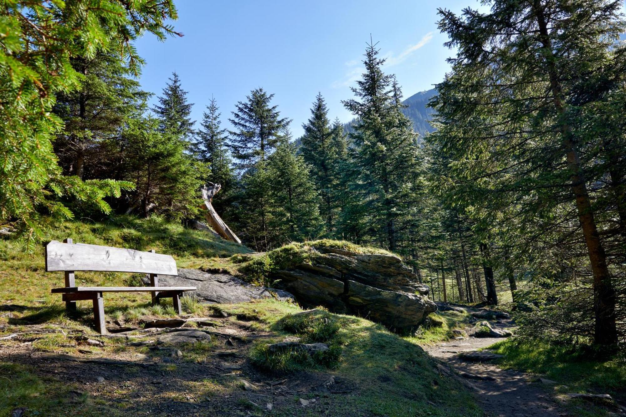 Ferienwohnung Innerhofer Hollersbach im Pinzgau Exterior foto