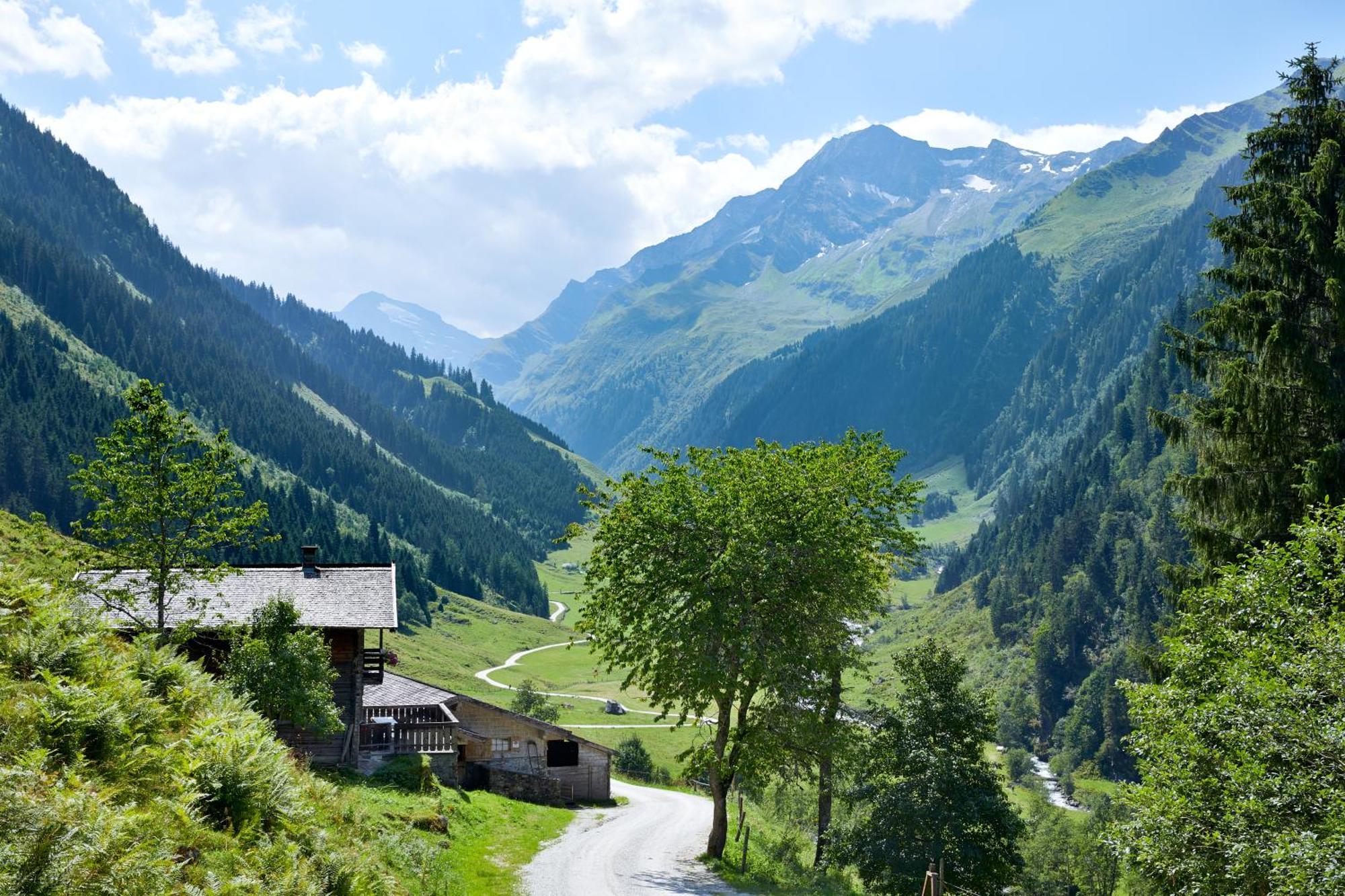 Ferienwohnung Innerhofer Hollersbach im Pinzgau Exterior foto